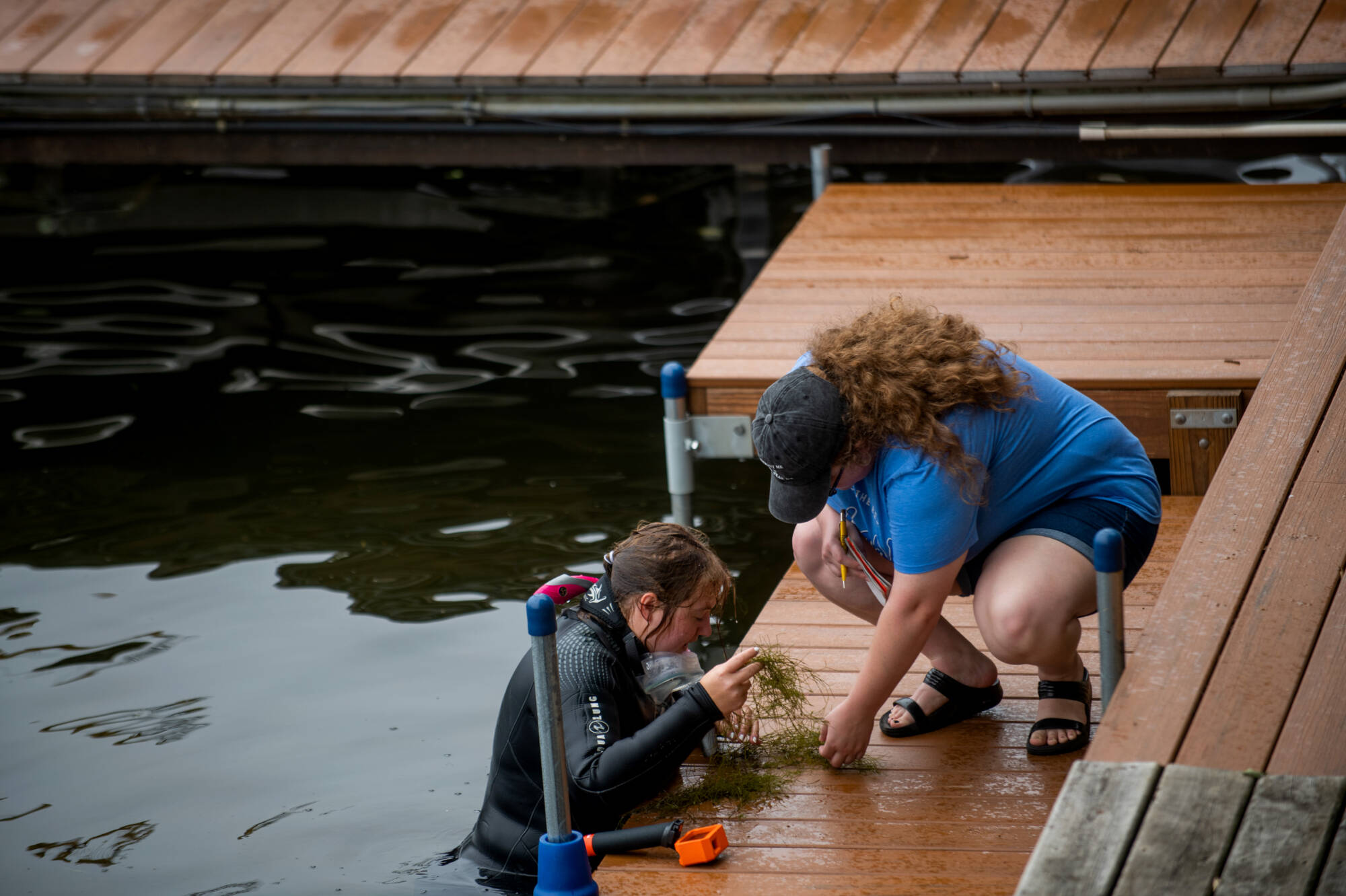 Brooke Keck, left, and Kelsey Inman-Carter, right, are assisting an AWRI graduate student, Emily Neuman, in studying the phenology of an invasive macroalga, starry stonewort (Nitellopsis obtusa). They established permanent quadrats and deployed light a...